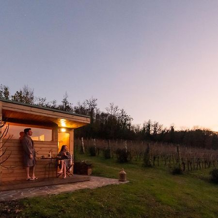 Agriturismo Terre Bianche Teolo Екстериор снимка