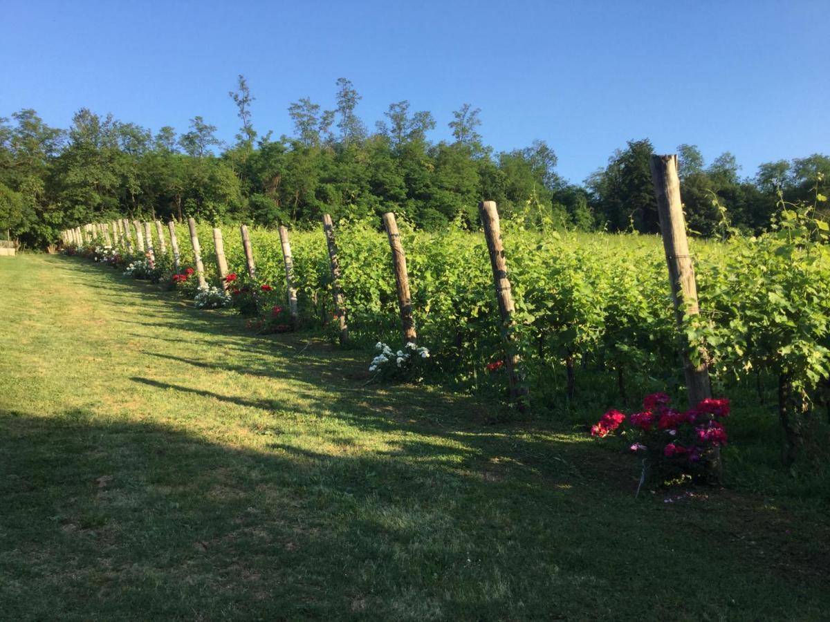 Agriturismo Terre Bianche Teolo Екстериор снимка