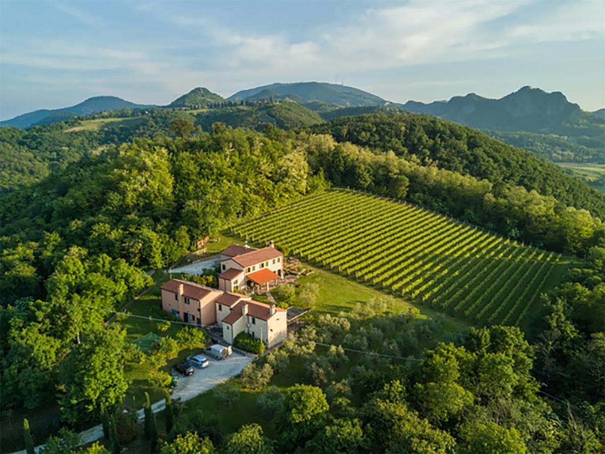 Agriturismo Terre Bianche Teolo Екстериор снимка