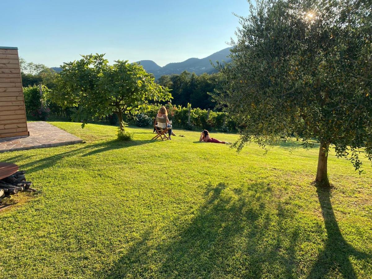 Agriturismo Terre Bianche Teolo Екстериор снимка