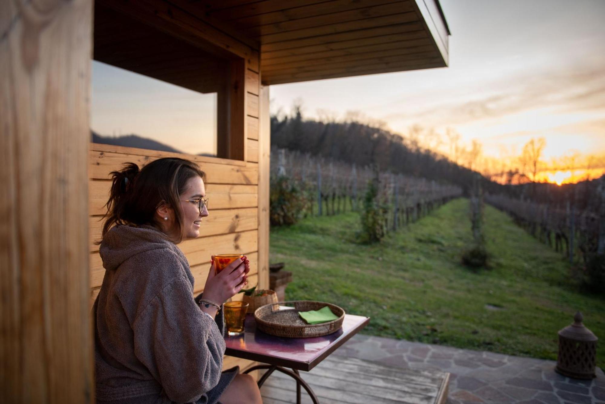Agriturismo Terre Bianche Teolo Екстериор снимка