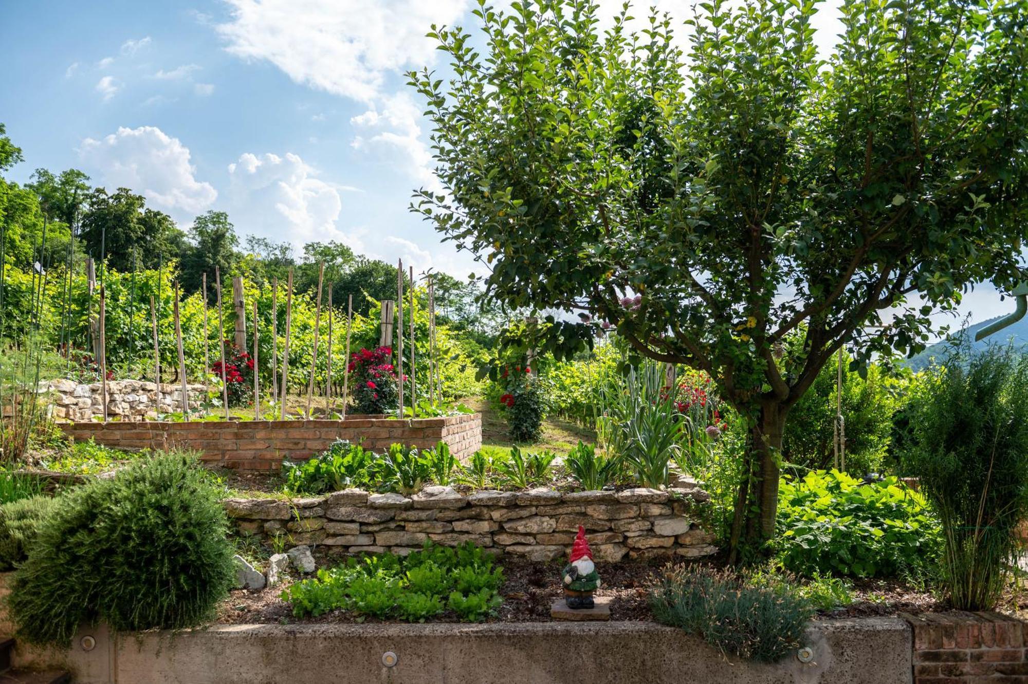 Agriturismo Terre Bianche Teolo Екстериор снимка