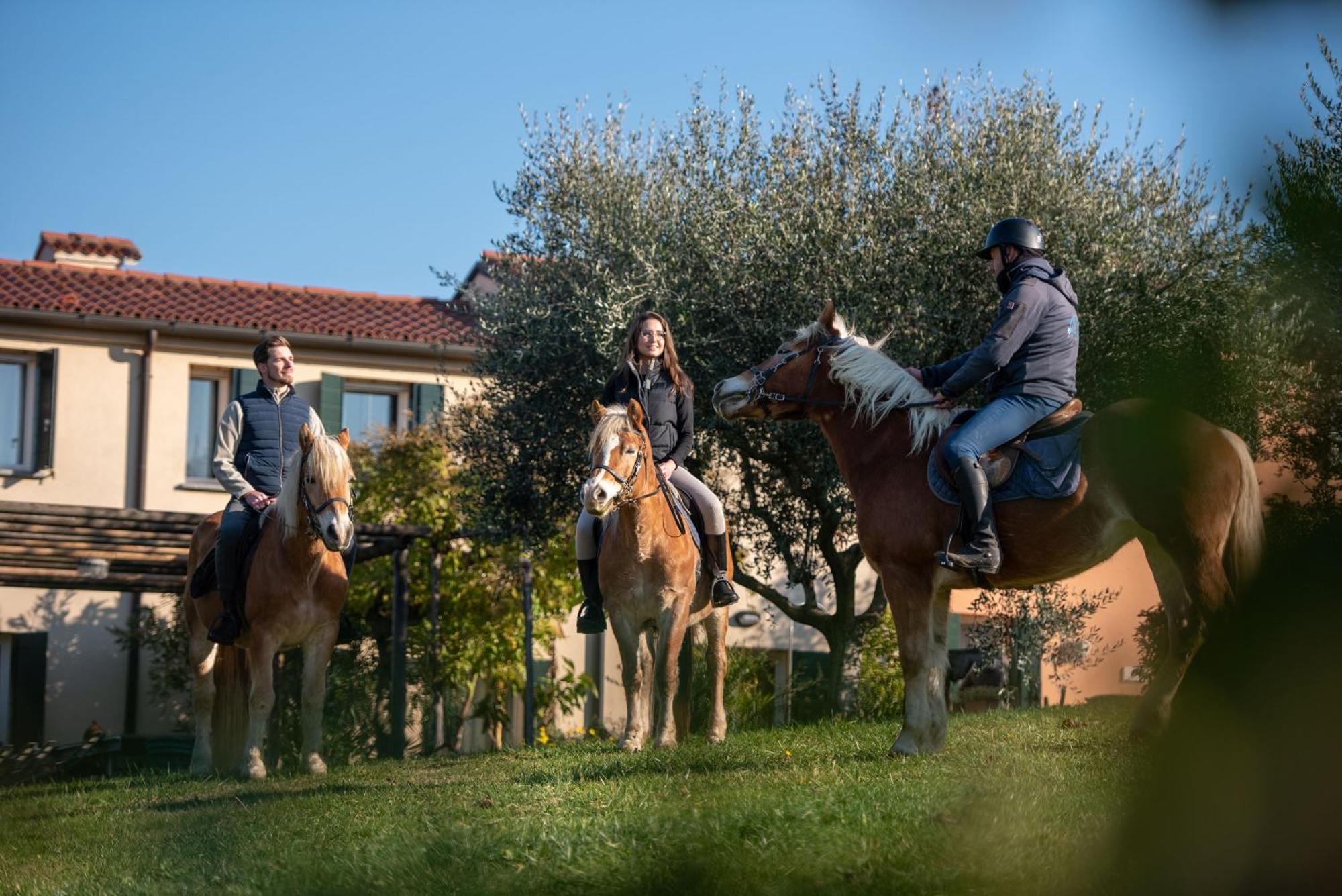 Agriturismo Terre Bianche Teolo Екстериор снимка